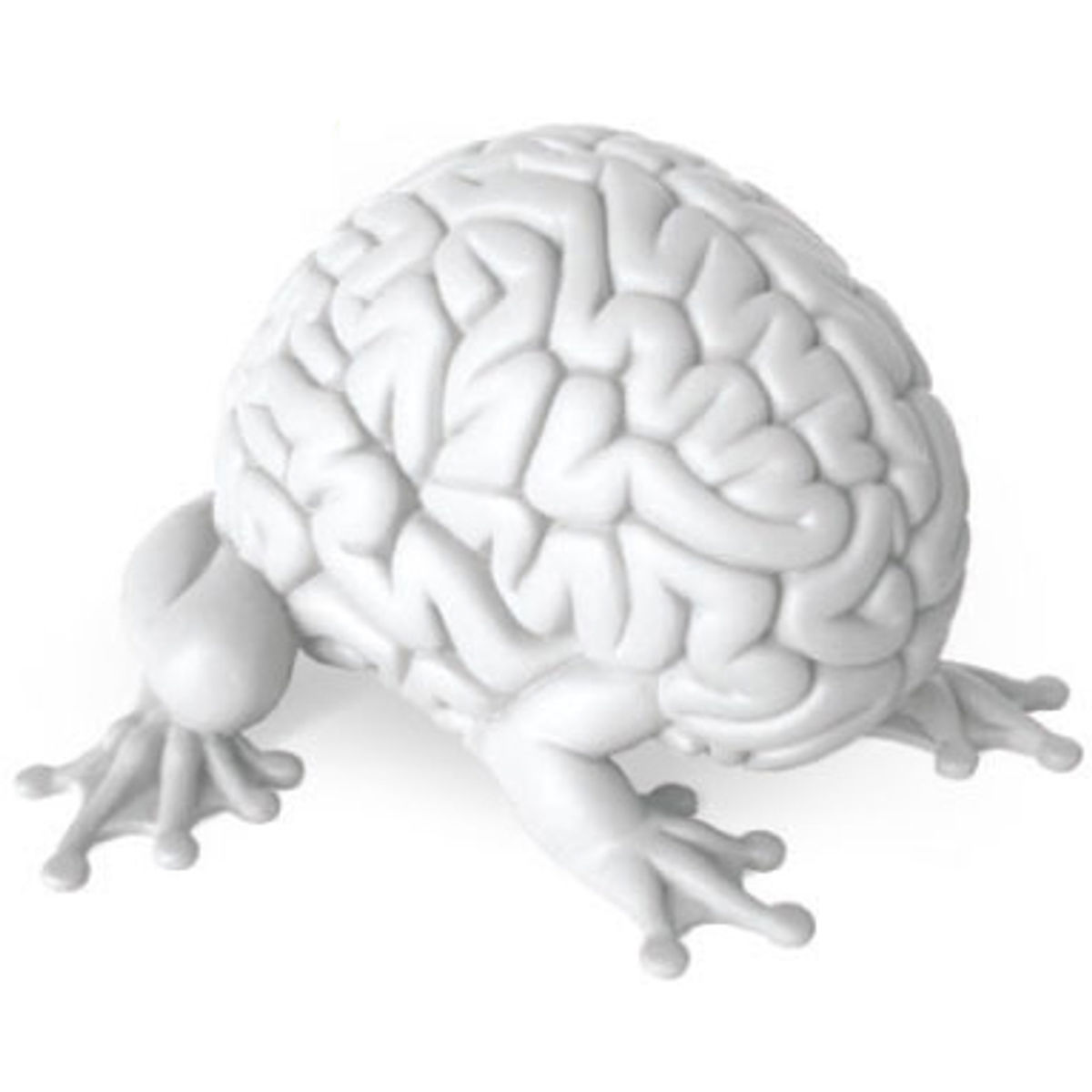 Jumping Brain 5" - White/DIY
