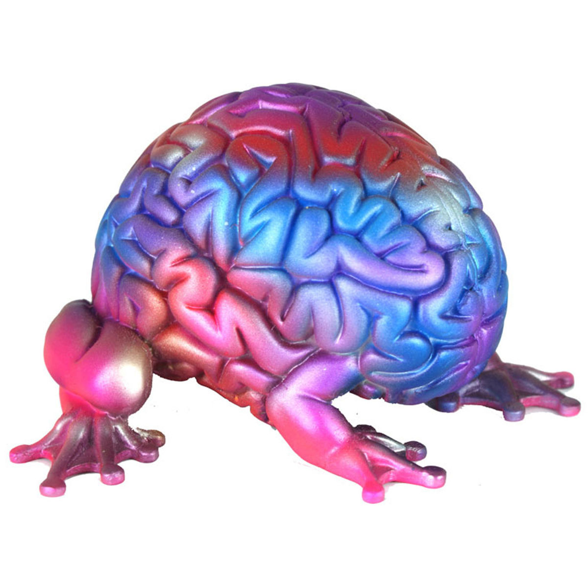 Schizophrenic Brain: No I'm Not, Yes You Are