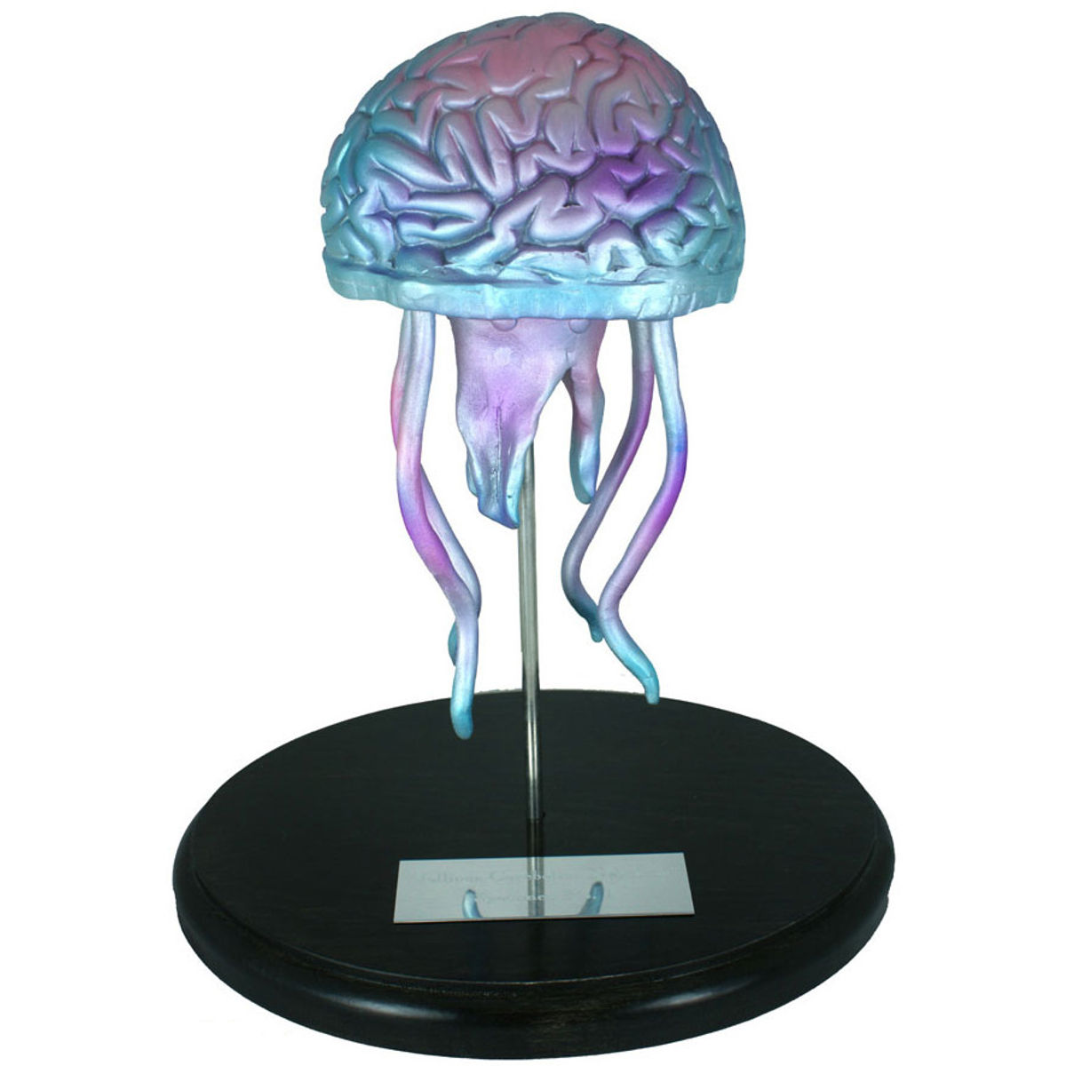 Jellicus Cerebelius Nebulous, Specimen No.1