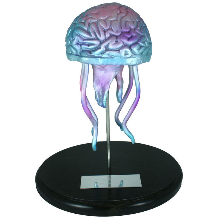 Jellicus Cerebelius Nebulous, Specimen No.1 by Nebulon5