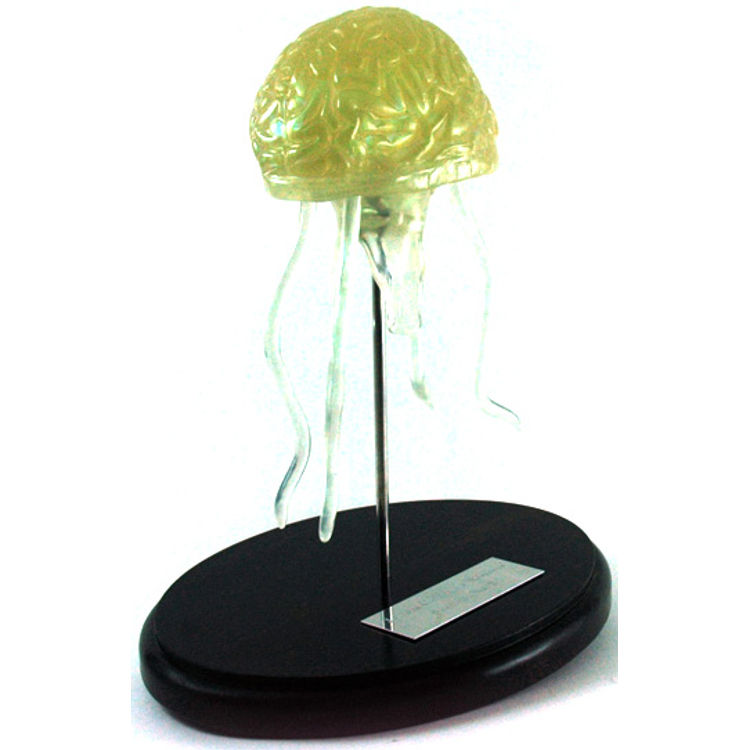 Jellicus Cerebelius Nebulous, Specimen No.2 by Nebulon5