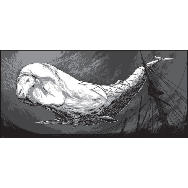 Moby Dick - Grey Variant by Ken Taylor
