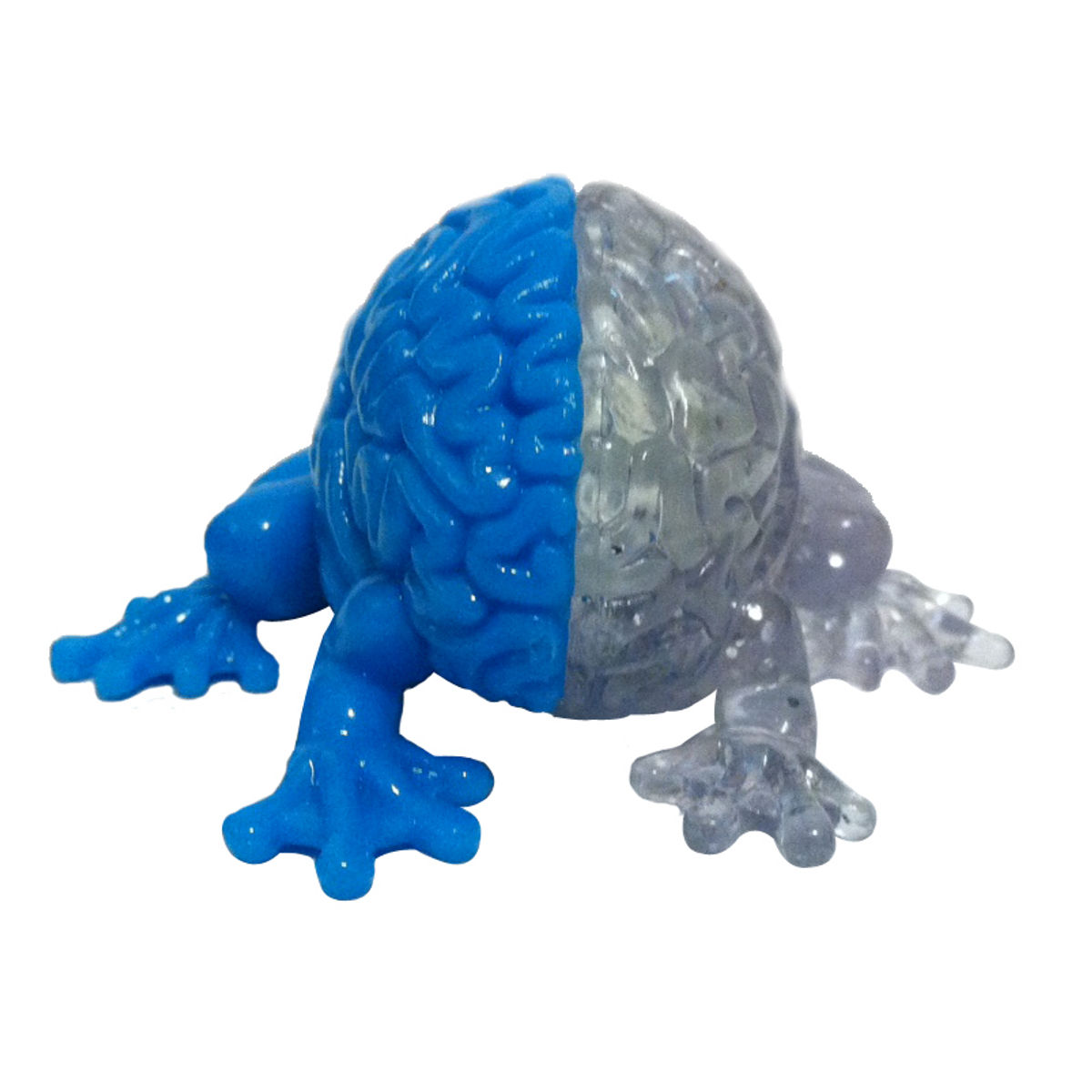 Jumping Brain - Cyan/Clear GID