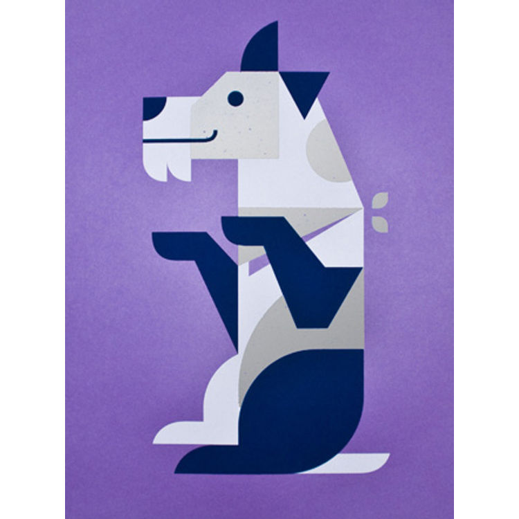 Fox Terrier by Ryan Brinkerhoff