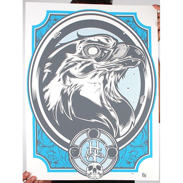 The Order of The Buteoninae by Hydro74