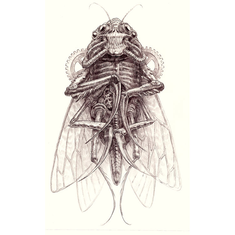 Iron Locust by Brendon Flynn