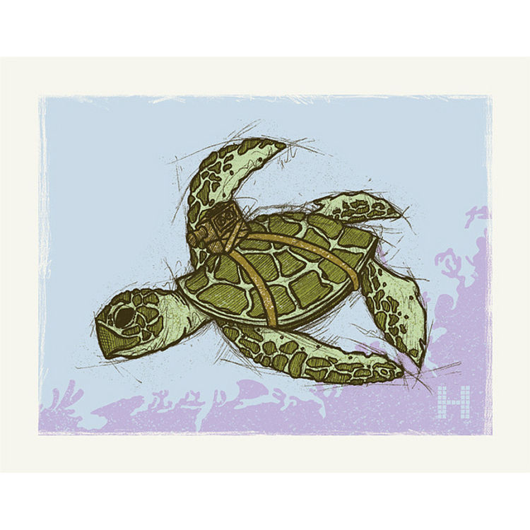 Research Turtle by Clint Wilson