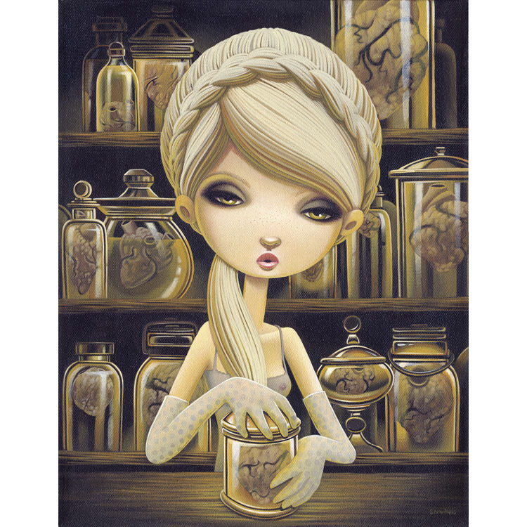 The Collector by Shannon Bonatakis