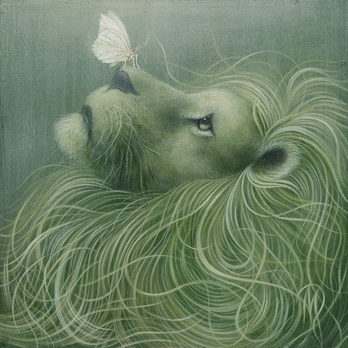 In The Calm Of The Pale Moonlight