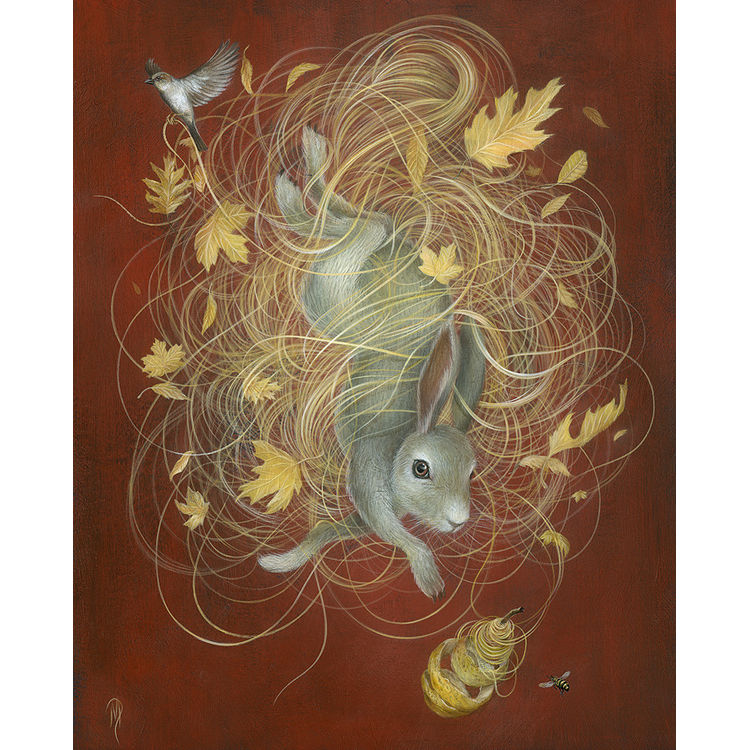 Roscoe's Fall by Dan May
