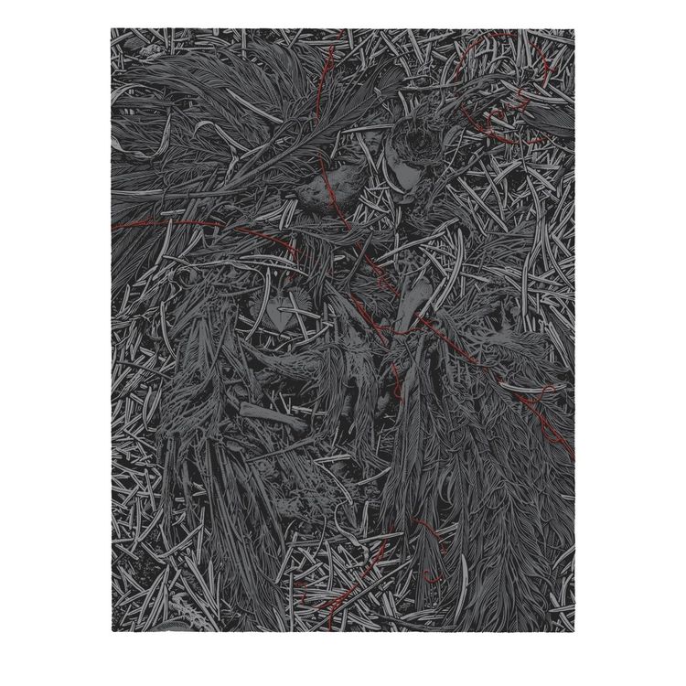 Hoarfrost by Aaron Horkey