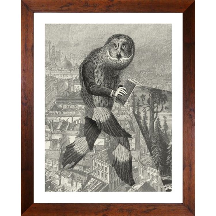 Collector. by Dan Hillier
