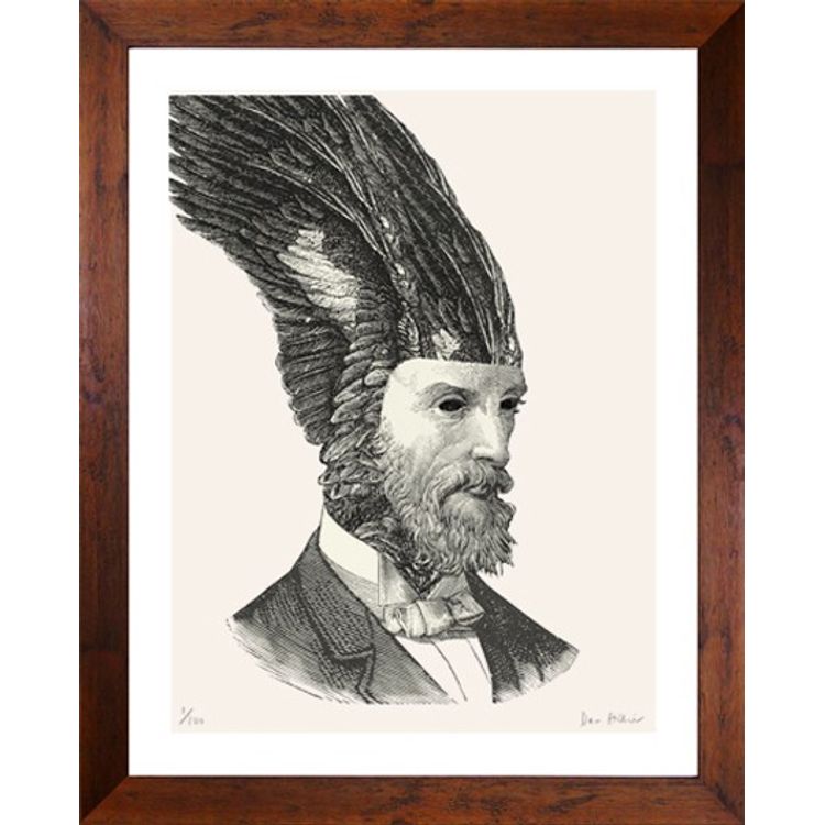 Aviator. by Dan Hillier