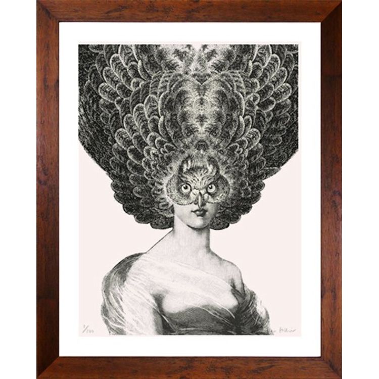cecilia Huntress. by Dan Hillier