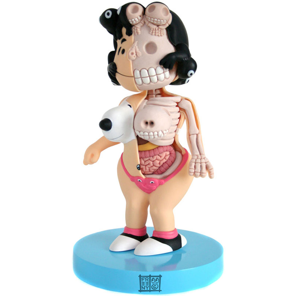 Lucy Exposed and Dissected