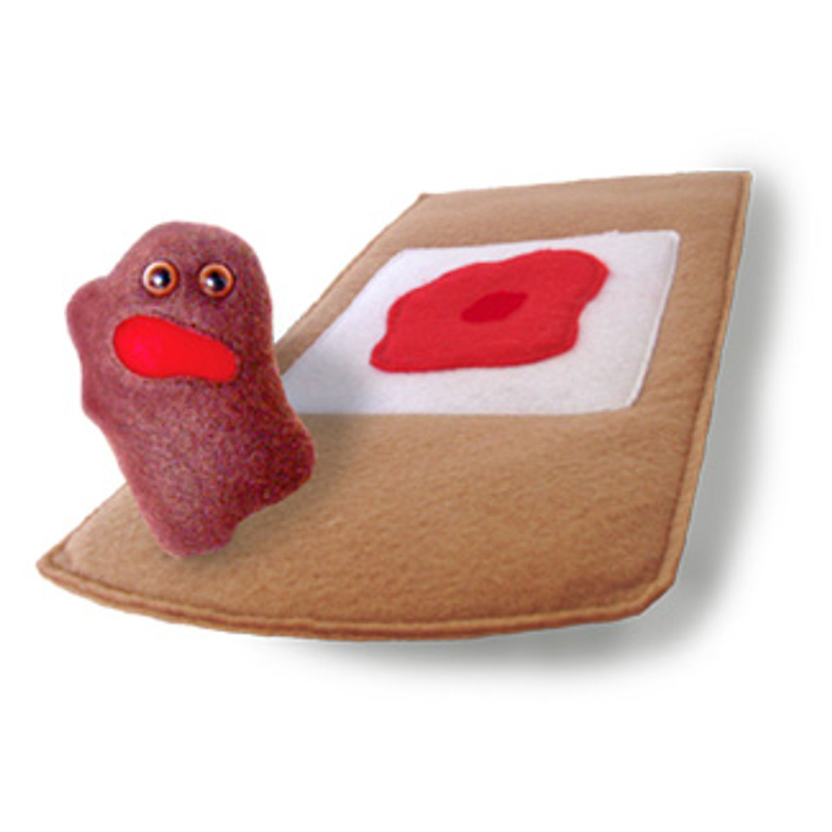 Bandage and Scab