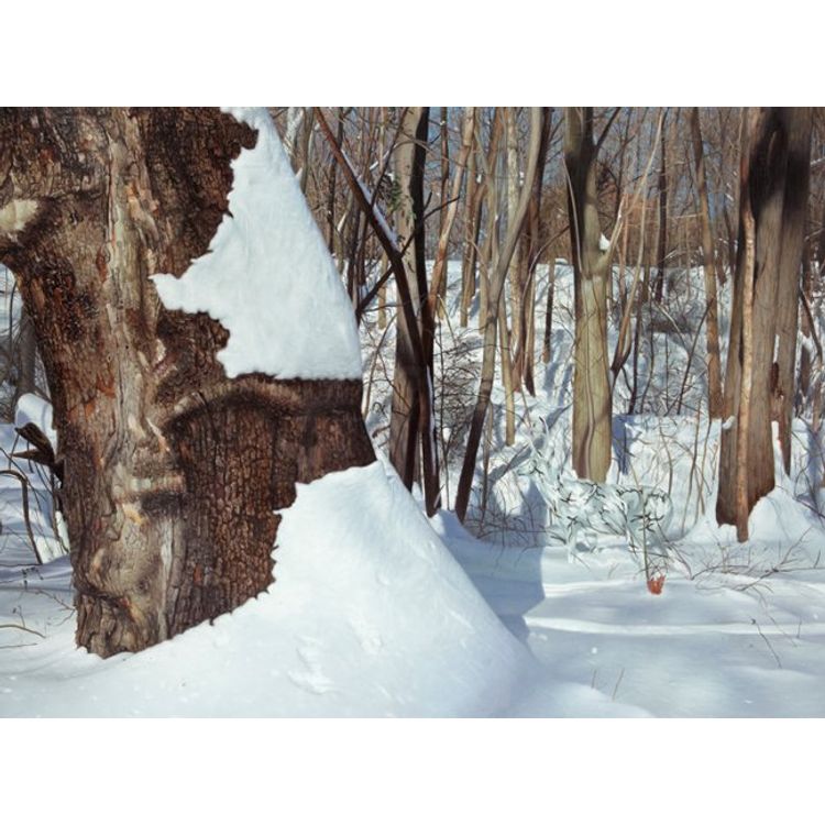 Camo deer in winter by Ron English