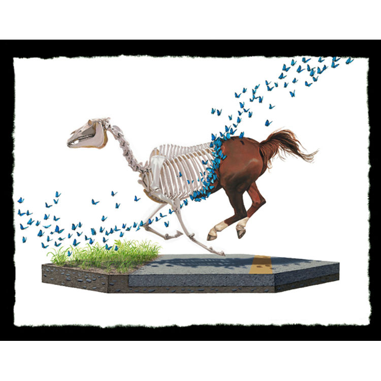 Shedding by Josh Keyes