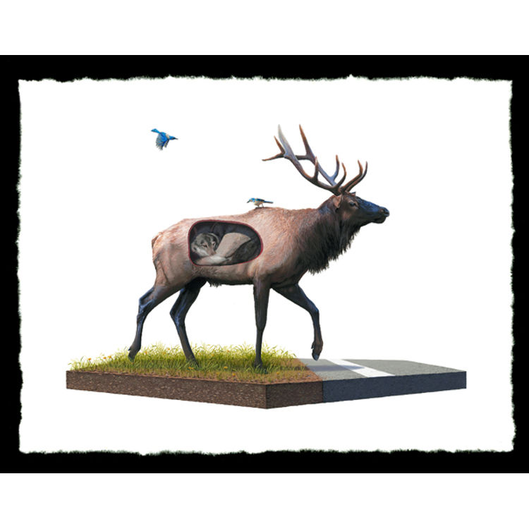 Incubate by Josh Keyes