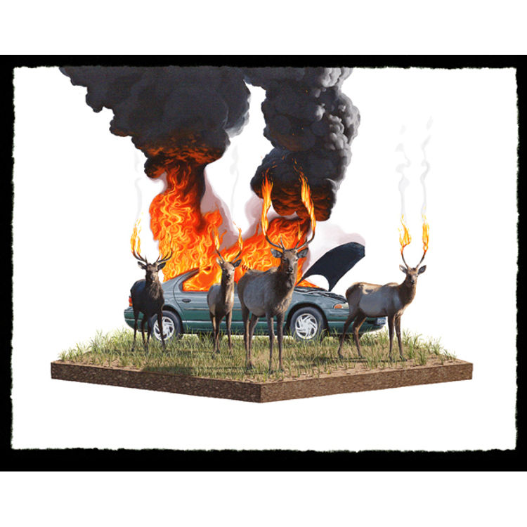 Scorch 2 by Josh Keyes