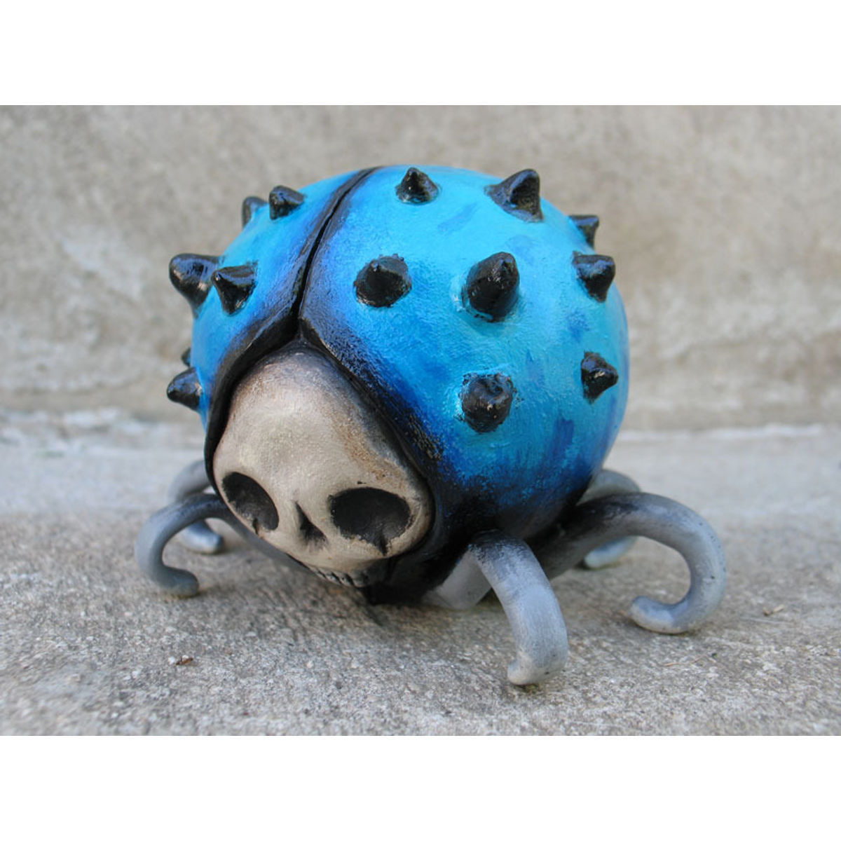 Insecta 1