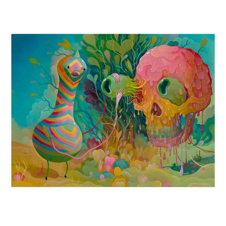 Slippery removal by Charlie Immer