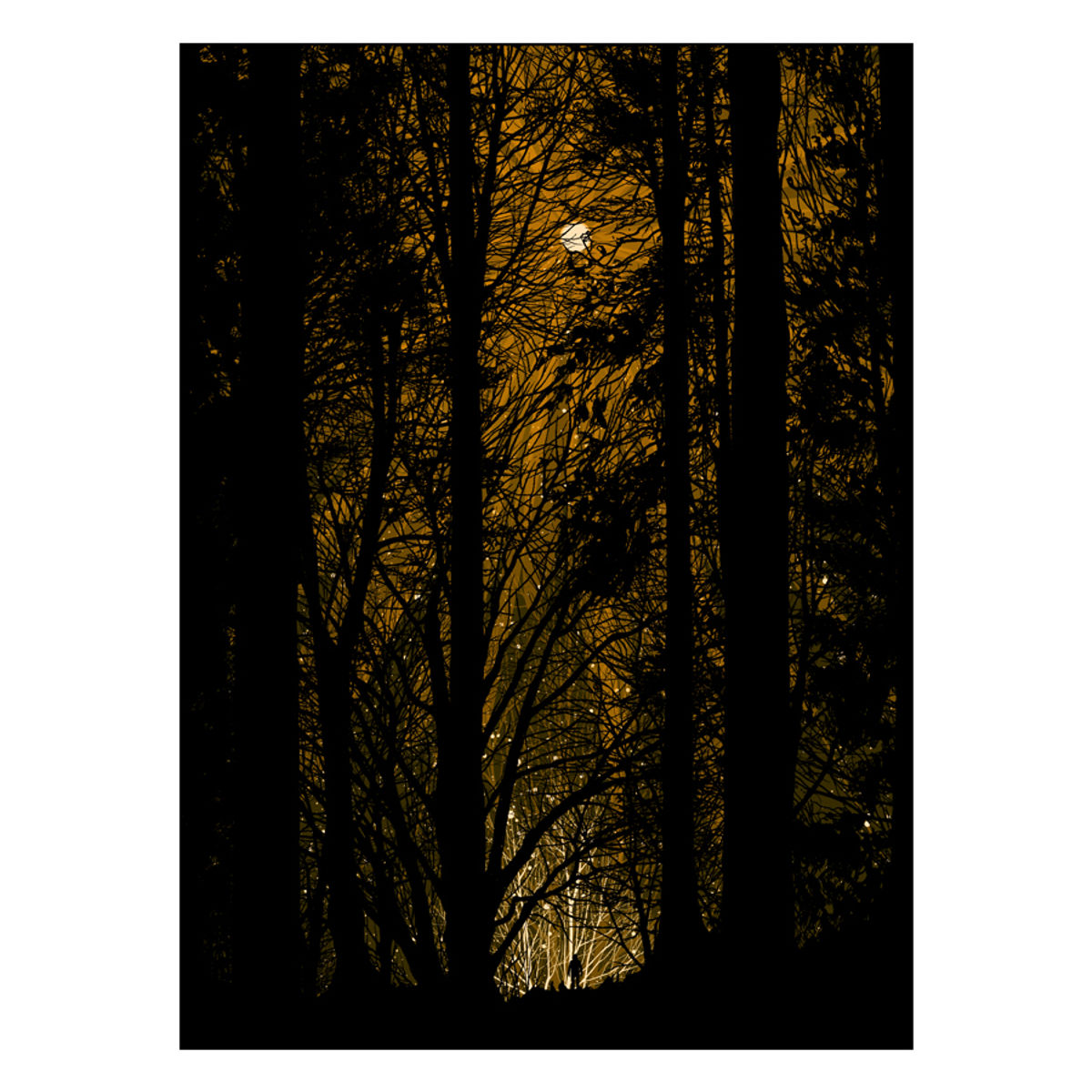Harvest Moon