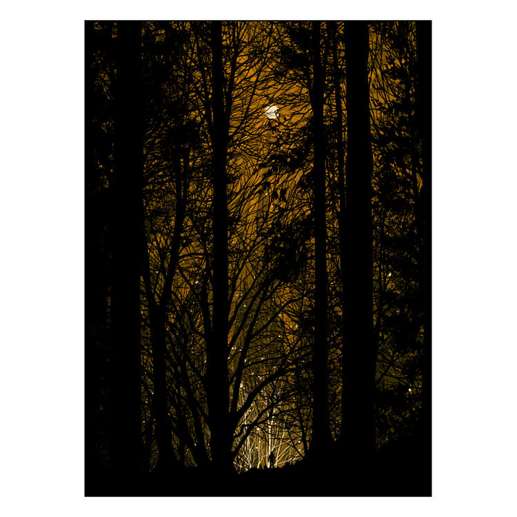 Harvest Moon by Dan McCarthy