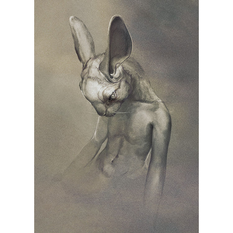 null by Ryohei Hase