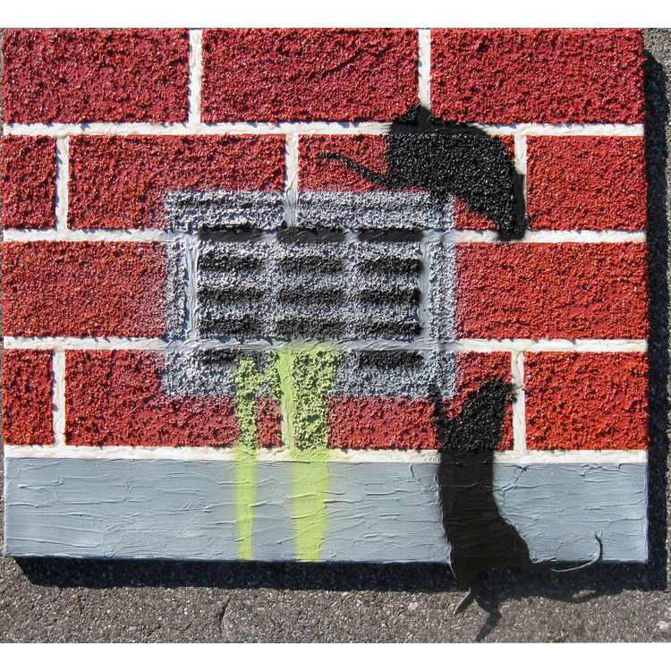 This Is The Closest I'll Ever Come To Owning A Banksy by Trust Pigs