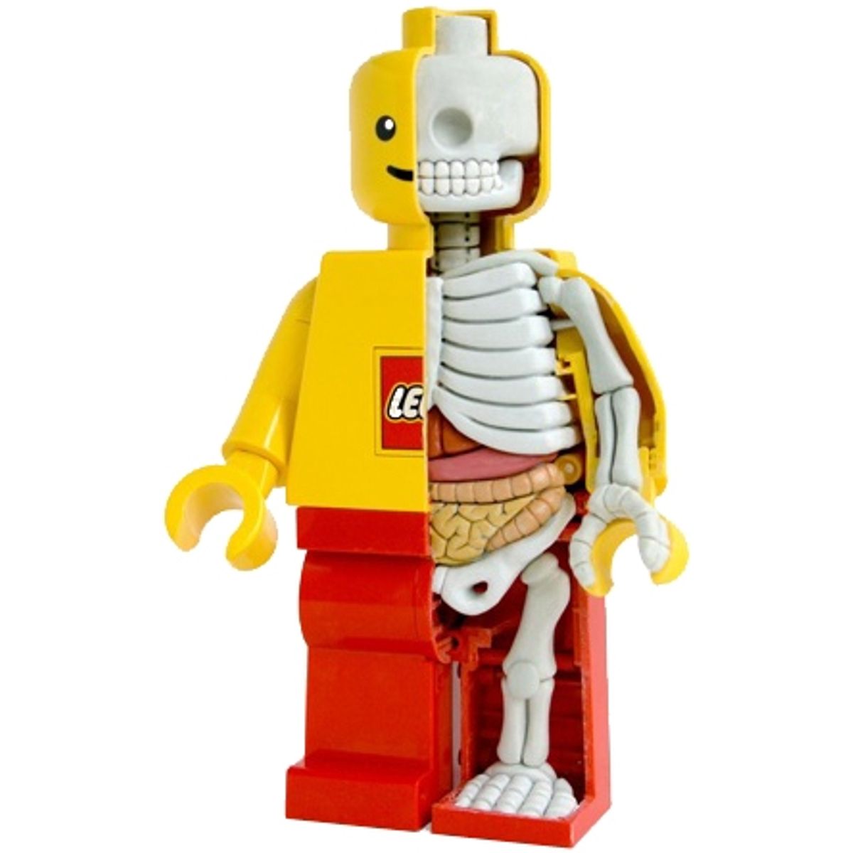 Lego man - Dissected