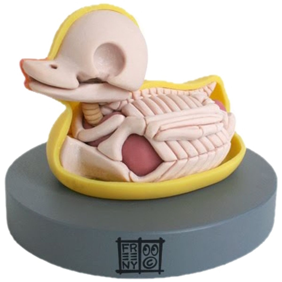 Rubber ducky - Dissected