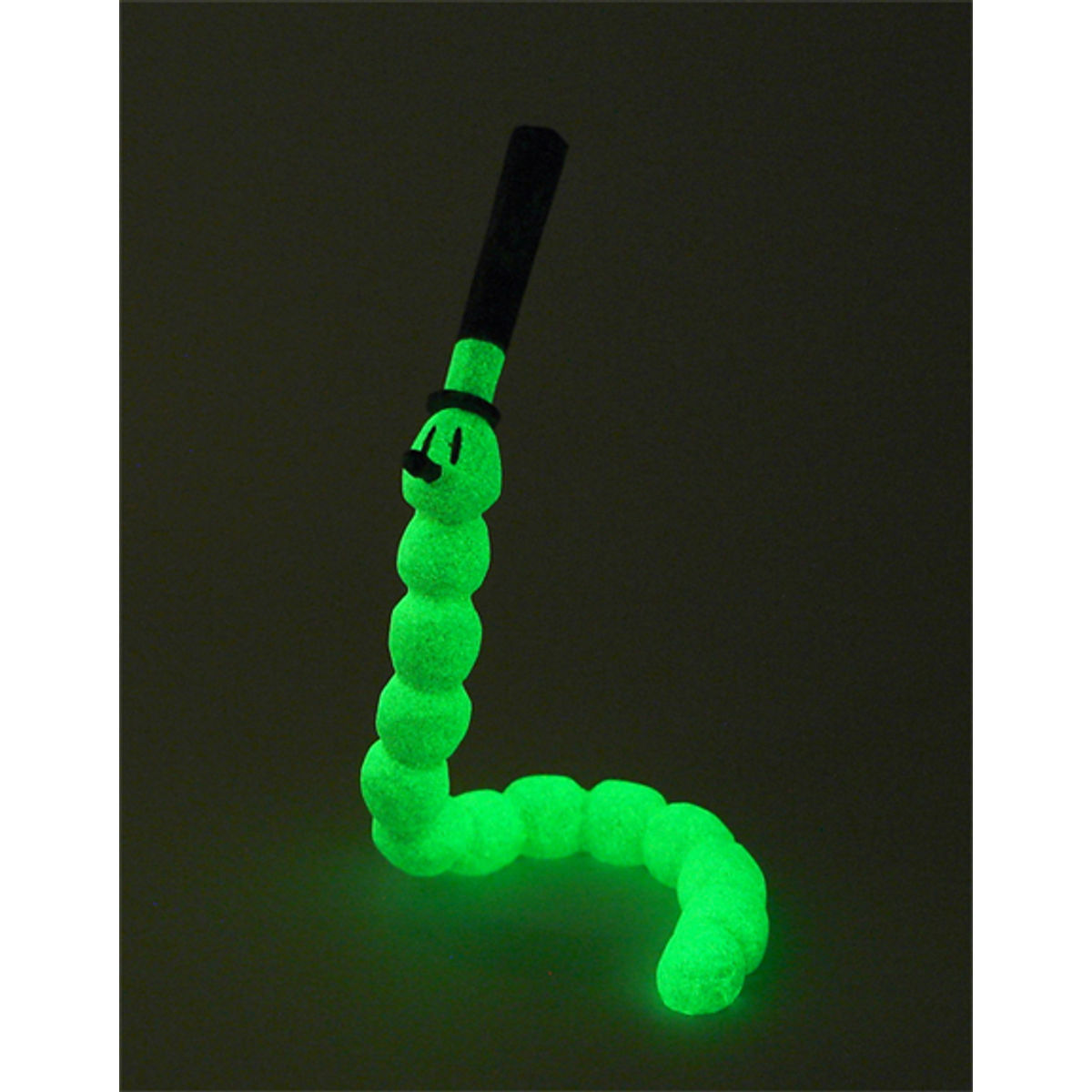 Glow-worm