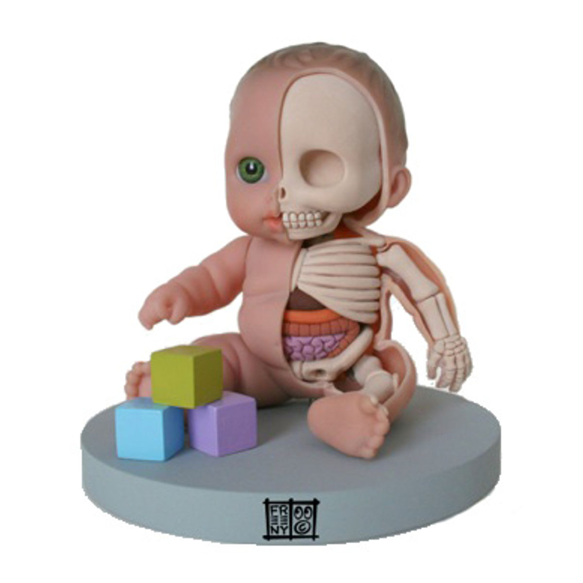 Anatomical Lil' Cutesies