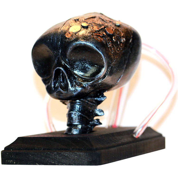 Fetal Skull (Colbalt/Red) by Matt A* (Matt Anderson)