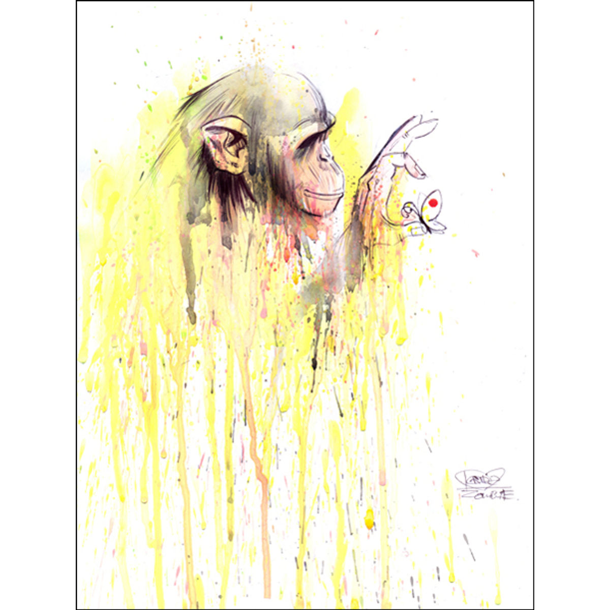 Monkey#11