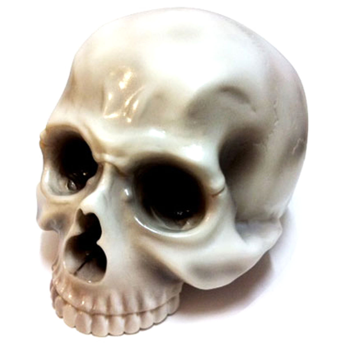 Skull Head - 50's Skull Grey