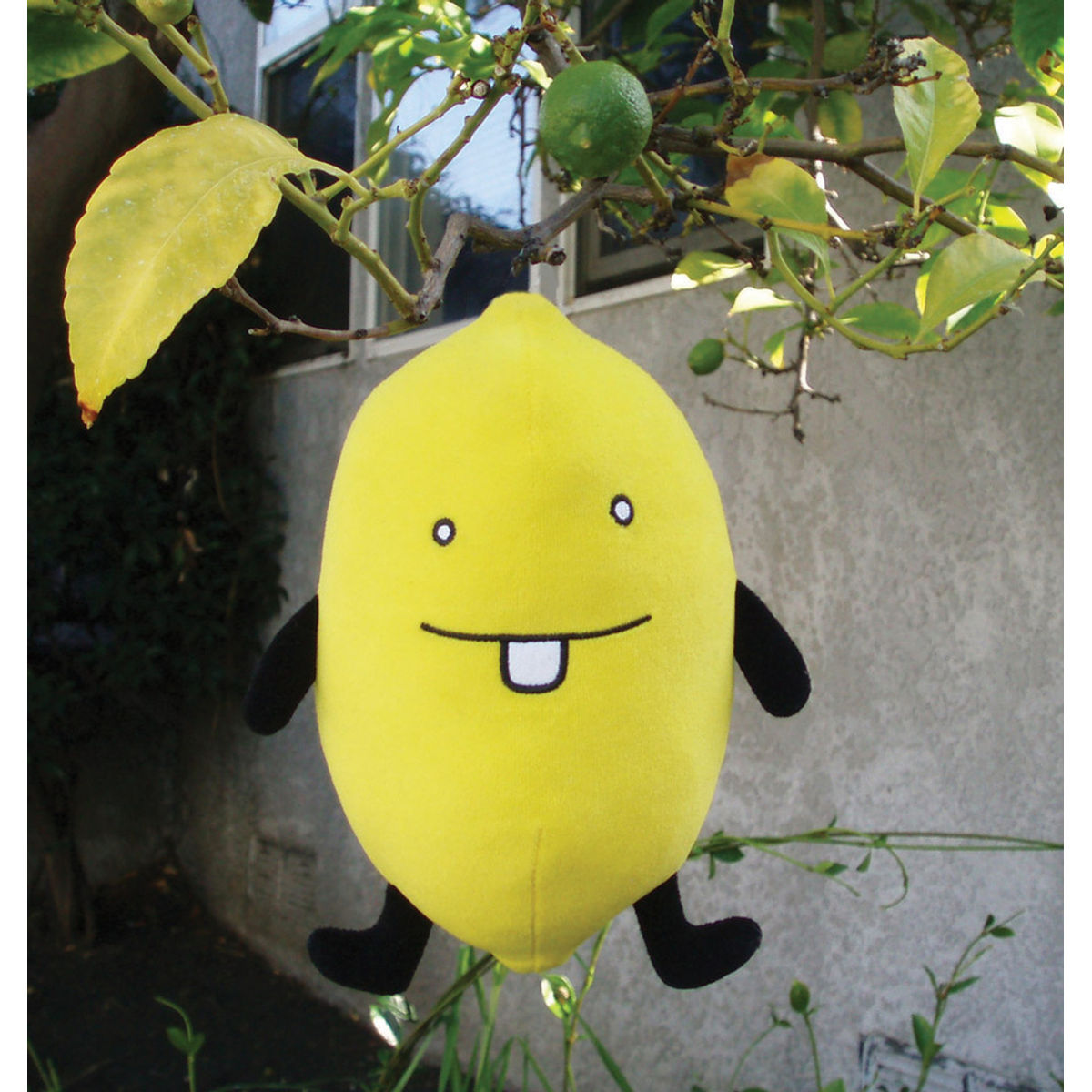 Clem Lemon