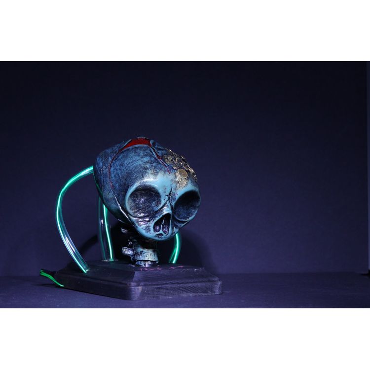 Fetal Skull (Green/Green) by Matt A* (Matt Anderson)