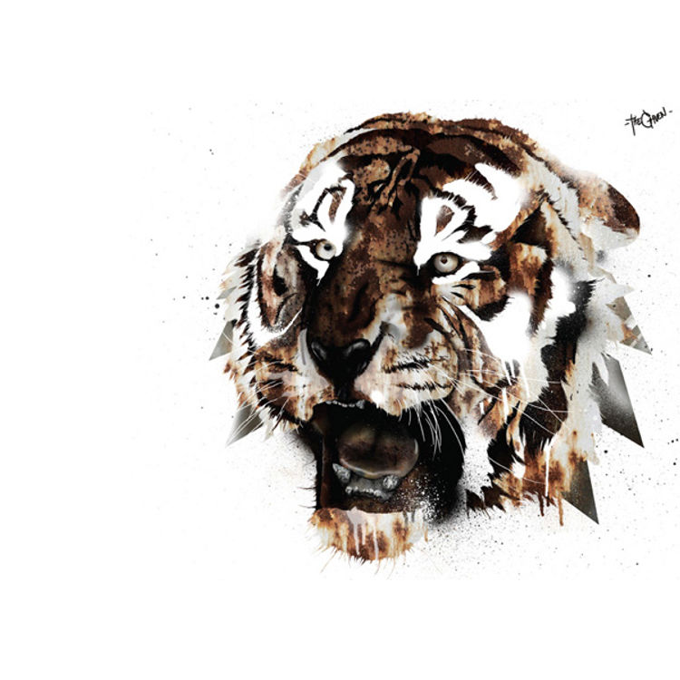 The Iron Tiger by Abe Viljoen (The Given)