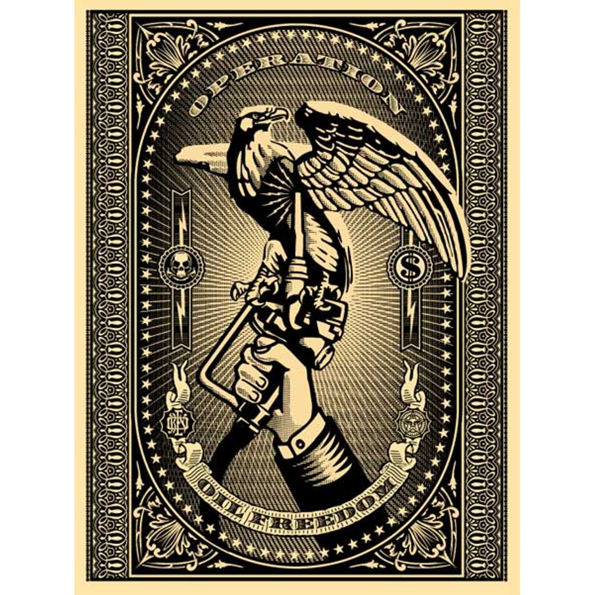 Operation Oil Freedom