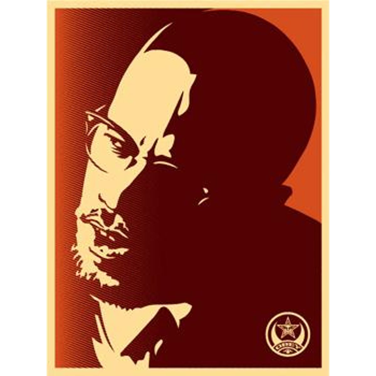 Malcolm X Orange