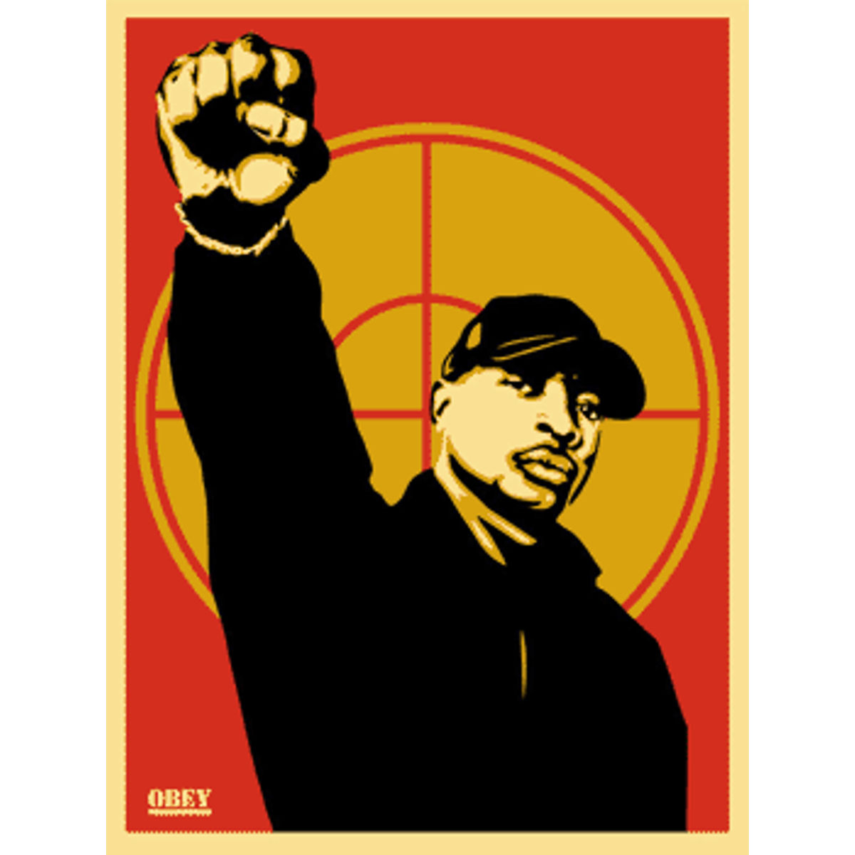 Chuck D 2007