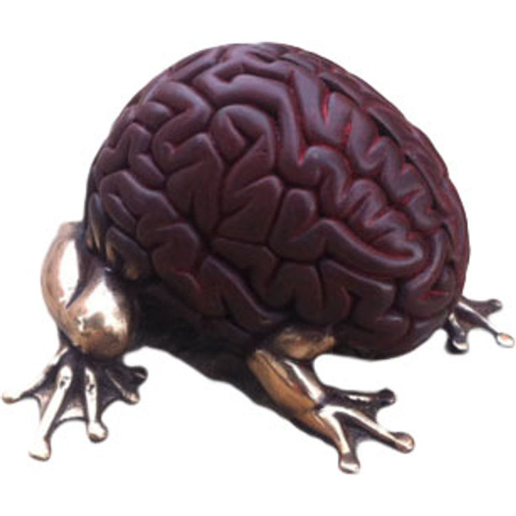 Bronze Jumping Brain - Japan Red Beautiful by Emilio Garcia