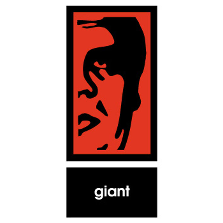 Right Face (1996) by Obey Giant (Shepard Fairey)
