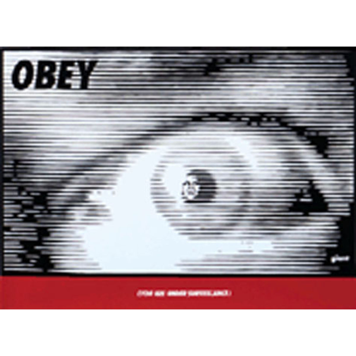 Surveillance (1996)
