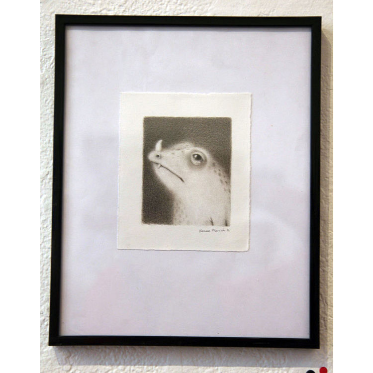 Horned Nose by Renee French