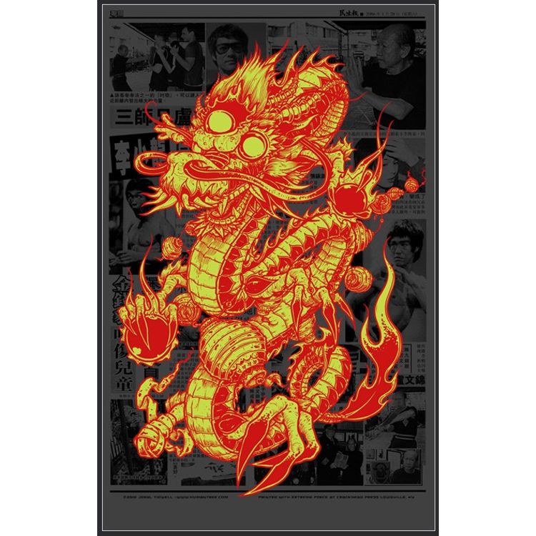 Dragon Kung-Fu - Grey by Jeral Tidwell