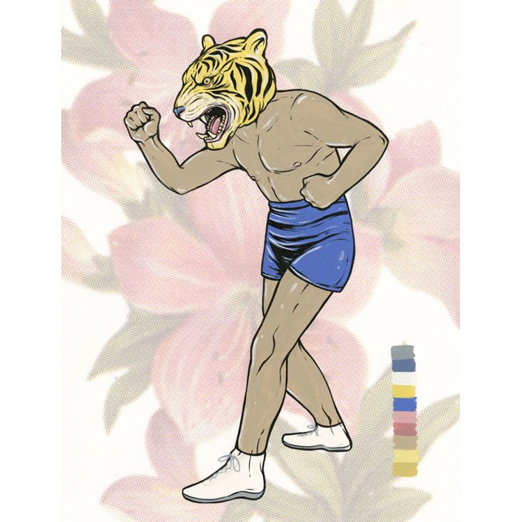 fighter (Tigermask) by Steve Seeley