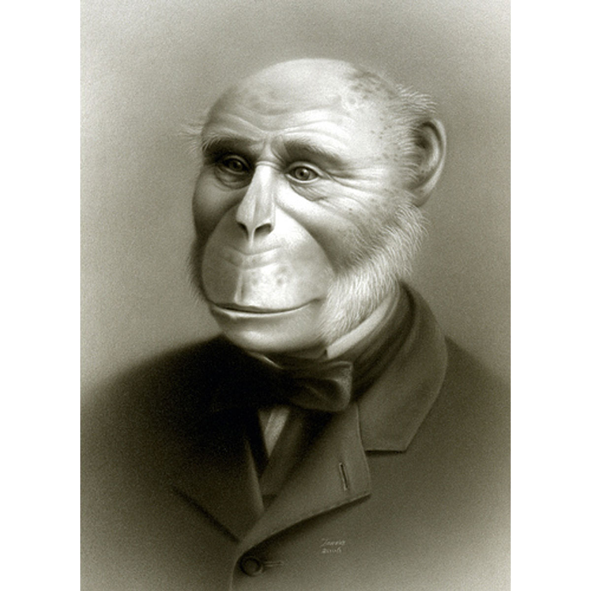 Karl the Humanzee